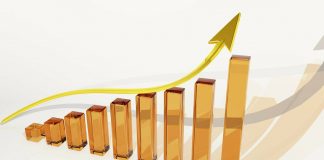 Dividende / was Sie als Anleger wissen sollten