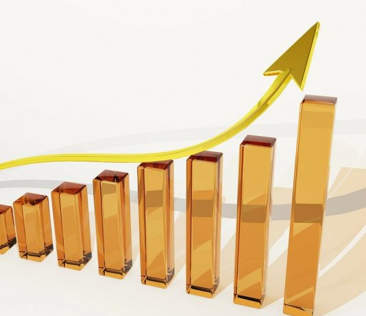 Dividende / was Sie als Anleger wissen sollten